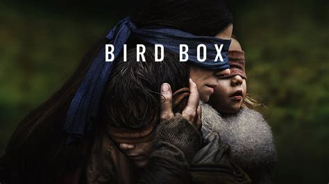 bird box rating age|bird box explained.